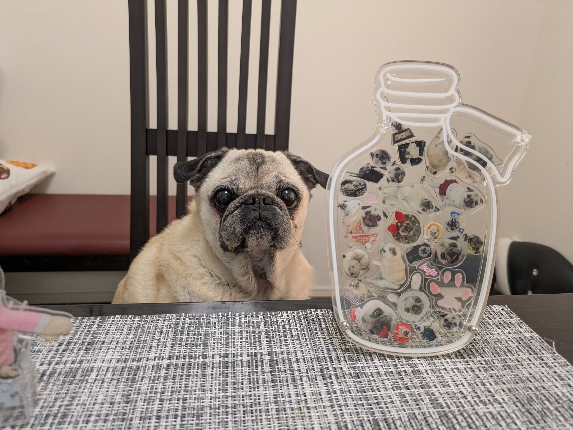 アクリルフレーム｜2.1mm（フィルムなし）シェイカーおすすめ・透明