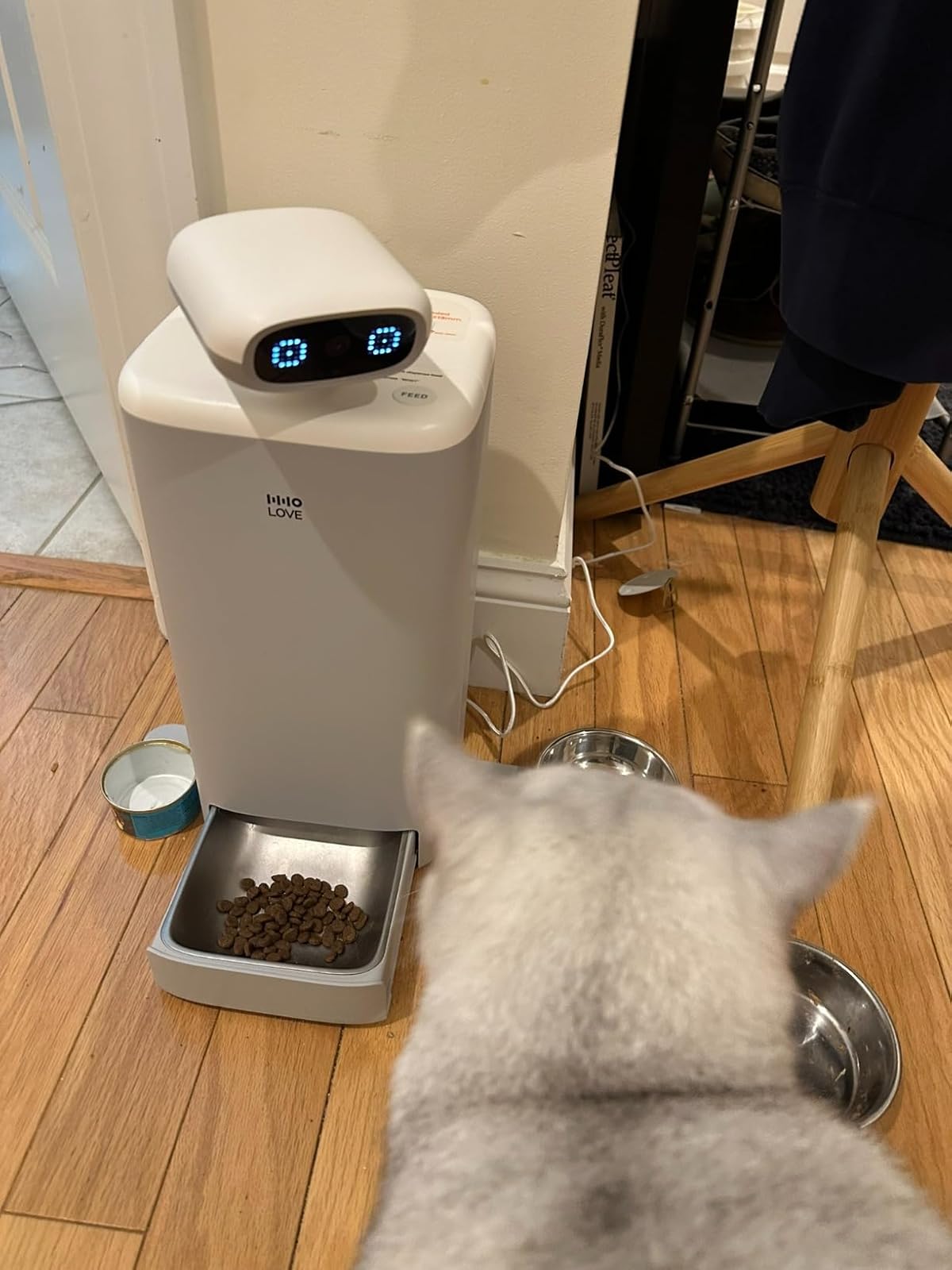 犬、猫のお留守番に！パウボ PAWBO+ 新品未使用品　送料込 pwb-cat-zds-1.jpg