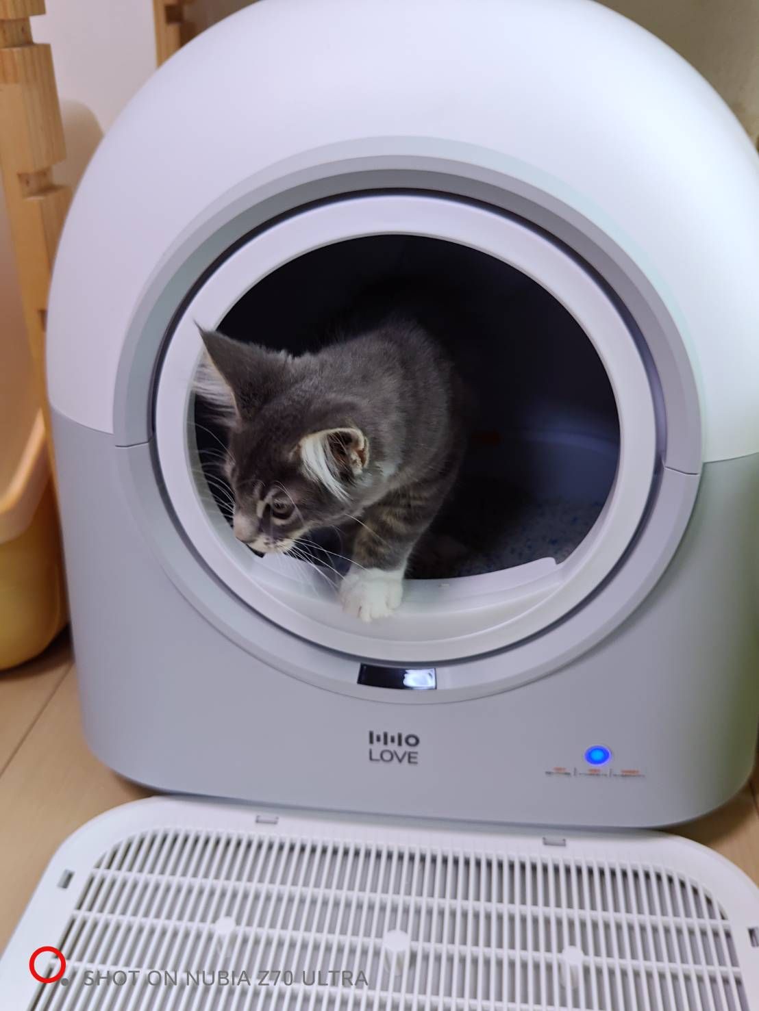 HHOLOVE 自動猫トイレ Pro ホワイト｜全自動清掃＆AI管理・掃除不要